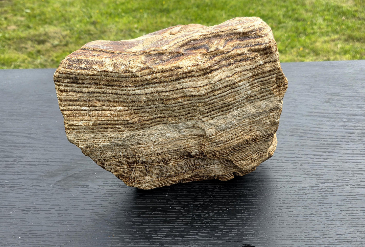 13.7kg display Aragonite with rich textures and natural banded mineral lines.