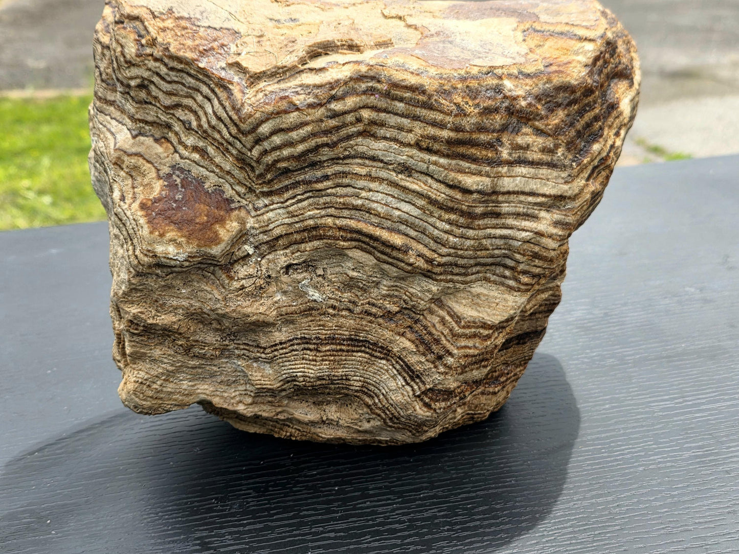 Warm-toned XL Aragonite with sedimentary layering and earthy colour palette.