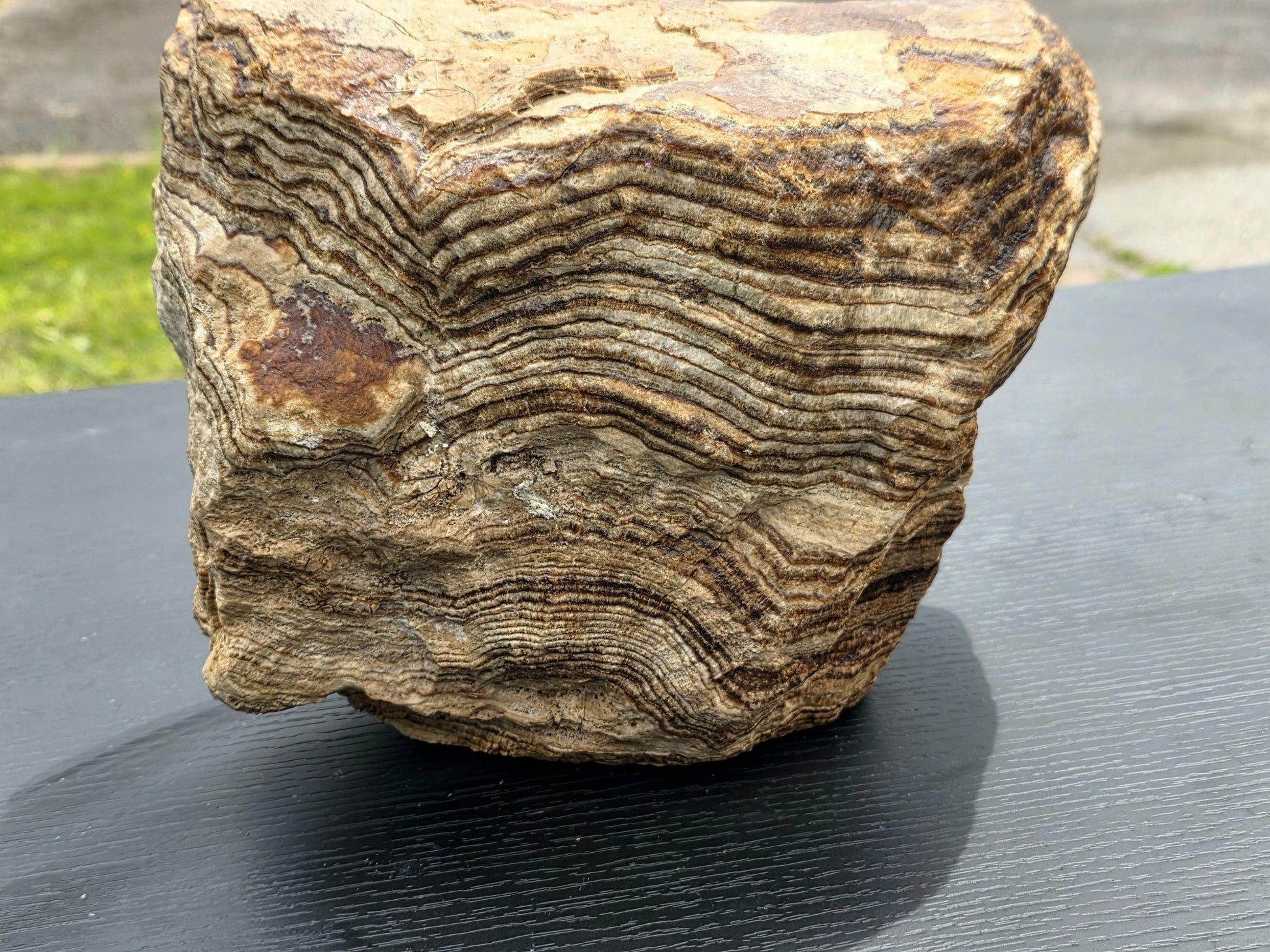 Warm-toned XL Aragonite with sedimentary layering and earthy colour palette.