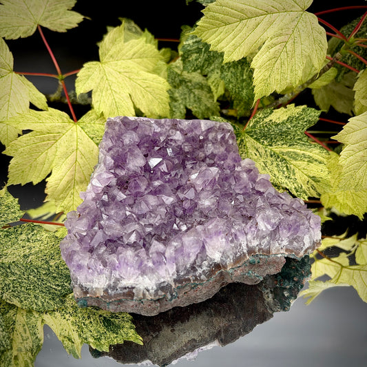Natural amethyst crystal cluster with purple crystal points displayed on a reflective surface.