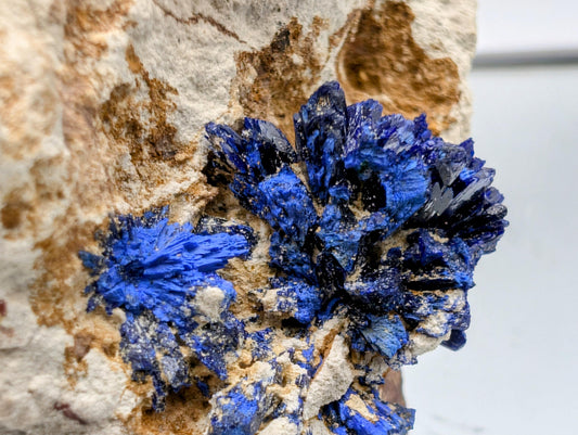 Azurite crystal geode, a rare collector’s mineral specimen.