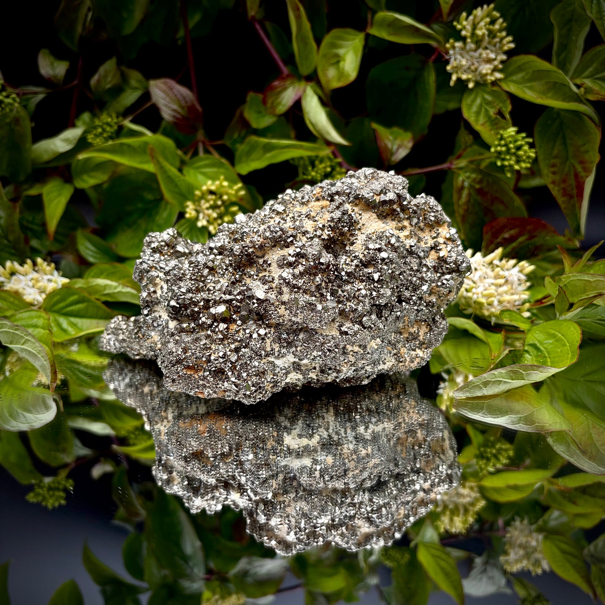 Back view of natural Pyrite specimen.