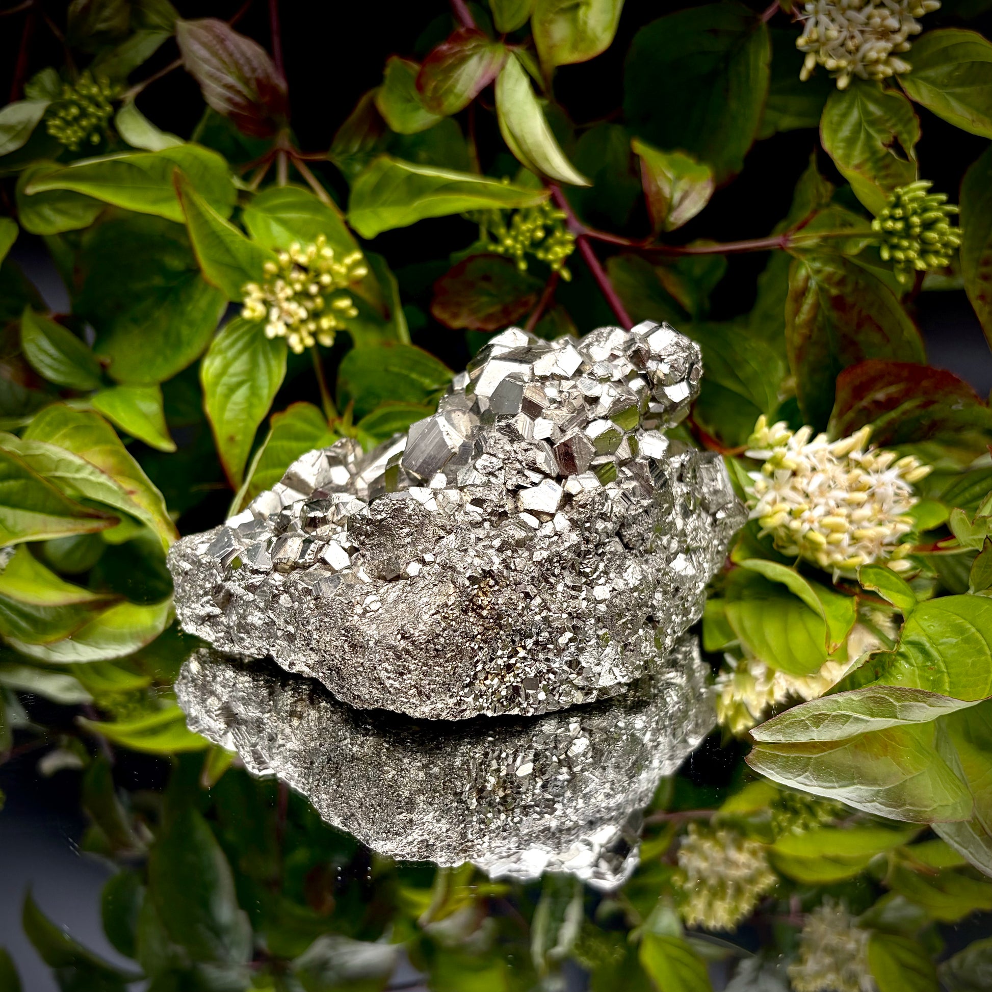 Mineral specimen on a reflective surface with green foliage in the background