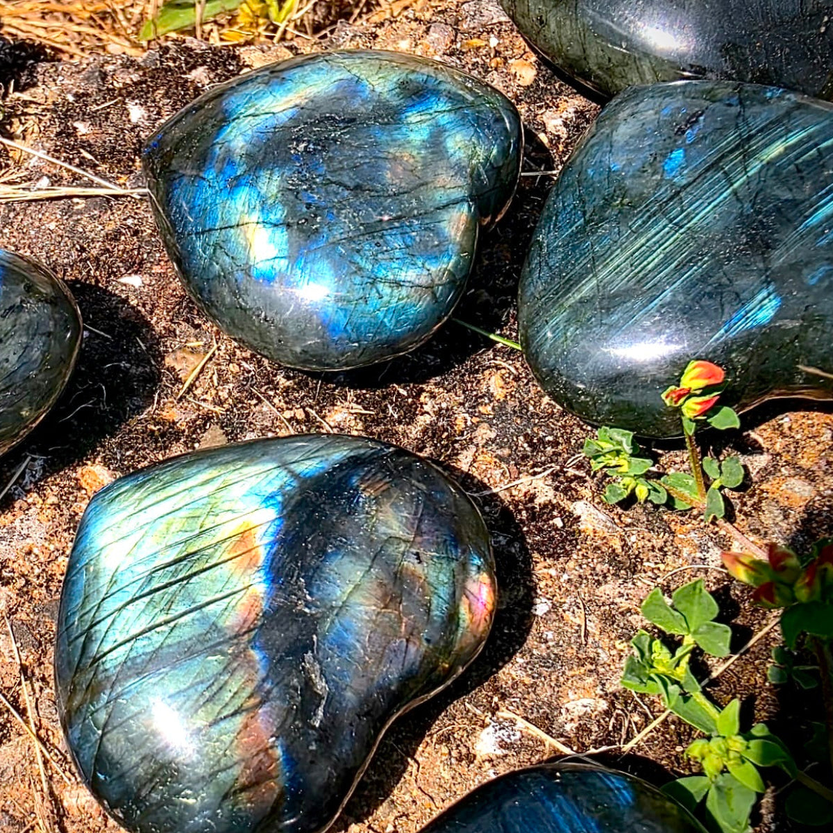 Labradorite Crystal Hearts 5-6 cm | Intuitive Collective Selection