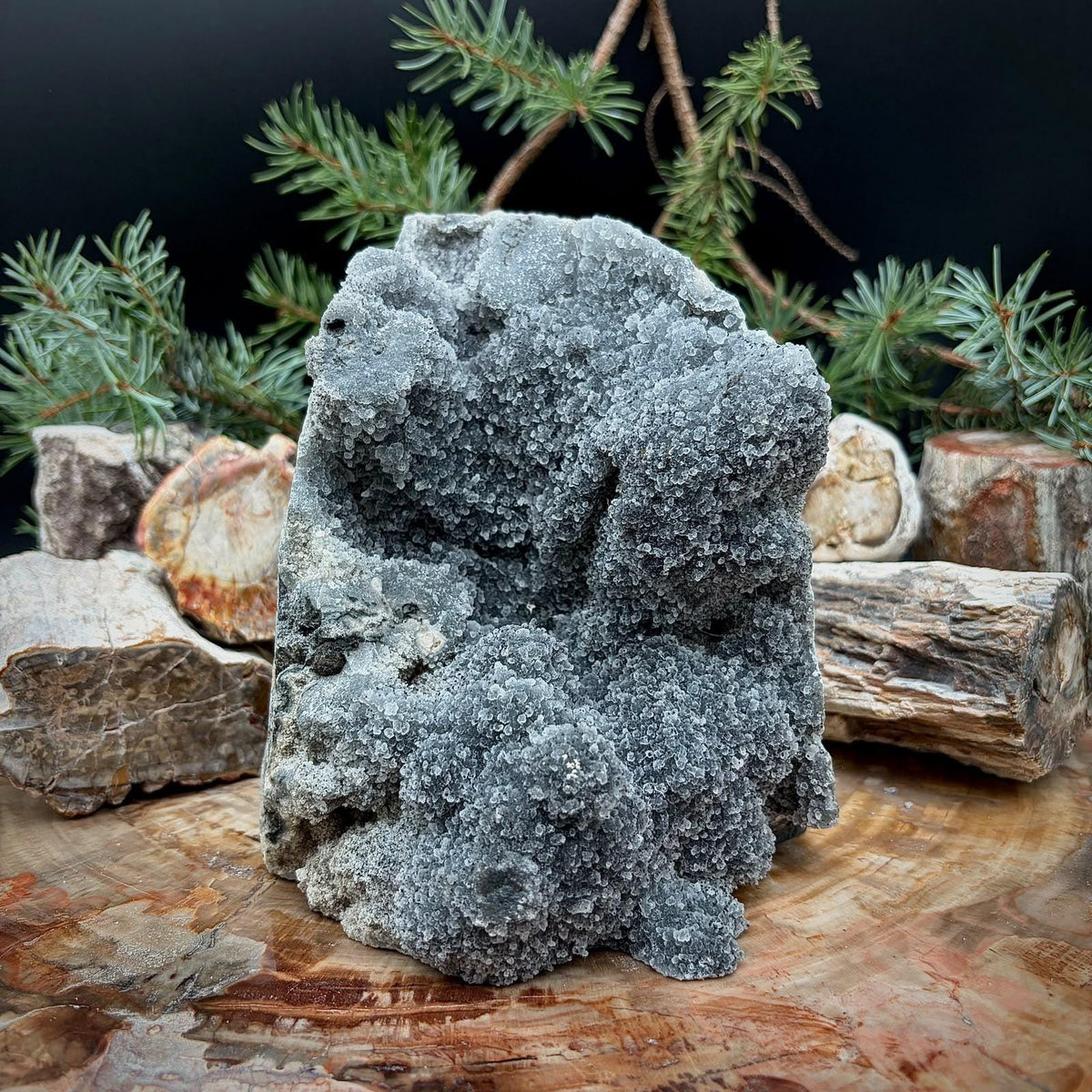 Natural Black Chalcedony crystal cut base featuring dark mineral formations and a freestanding shape.