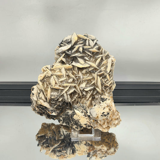 Black Baryte crystal shaped like a natural rose