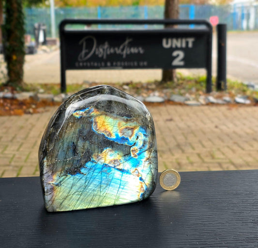 ntense blue labradorescence.