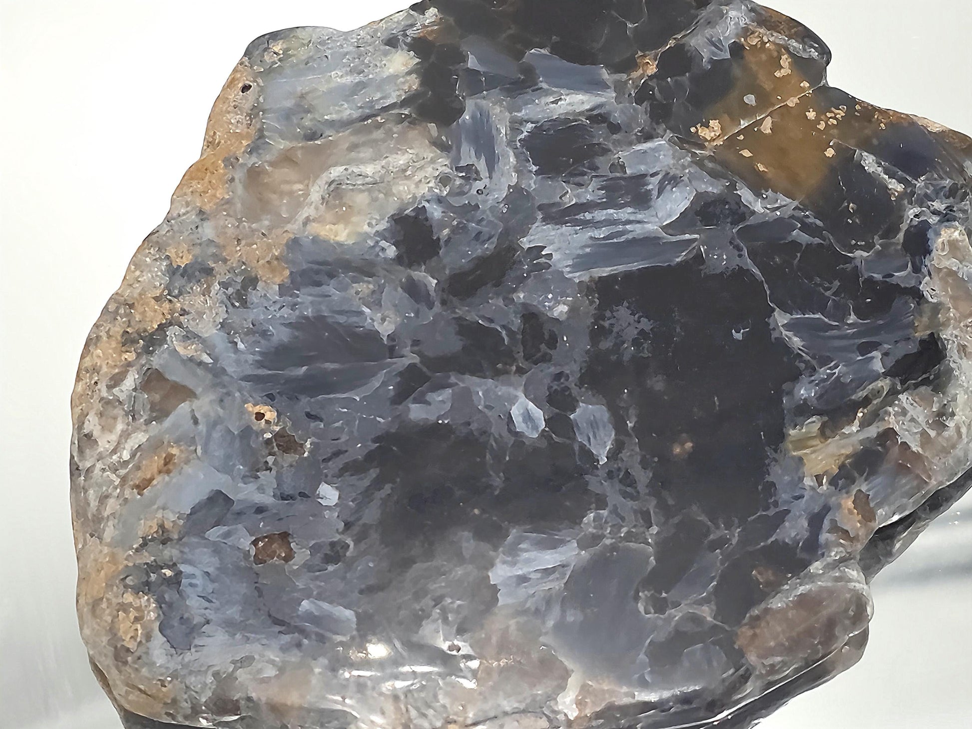 Close-up of polished Pietersite with blue and gold fibers