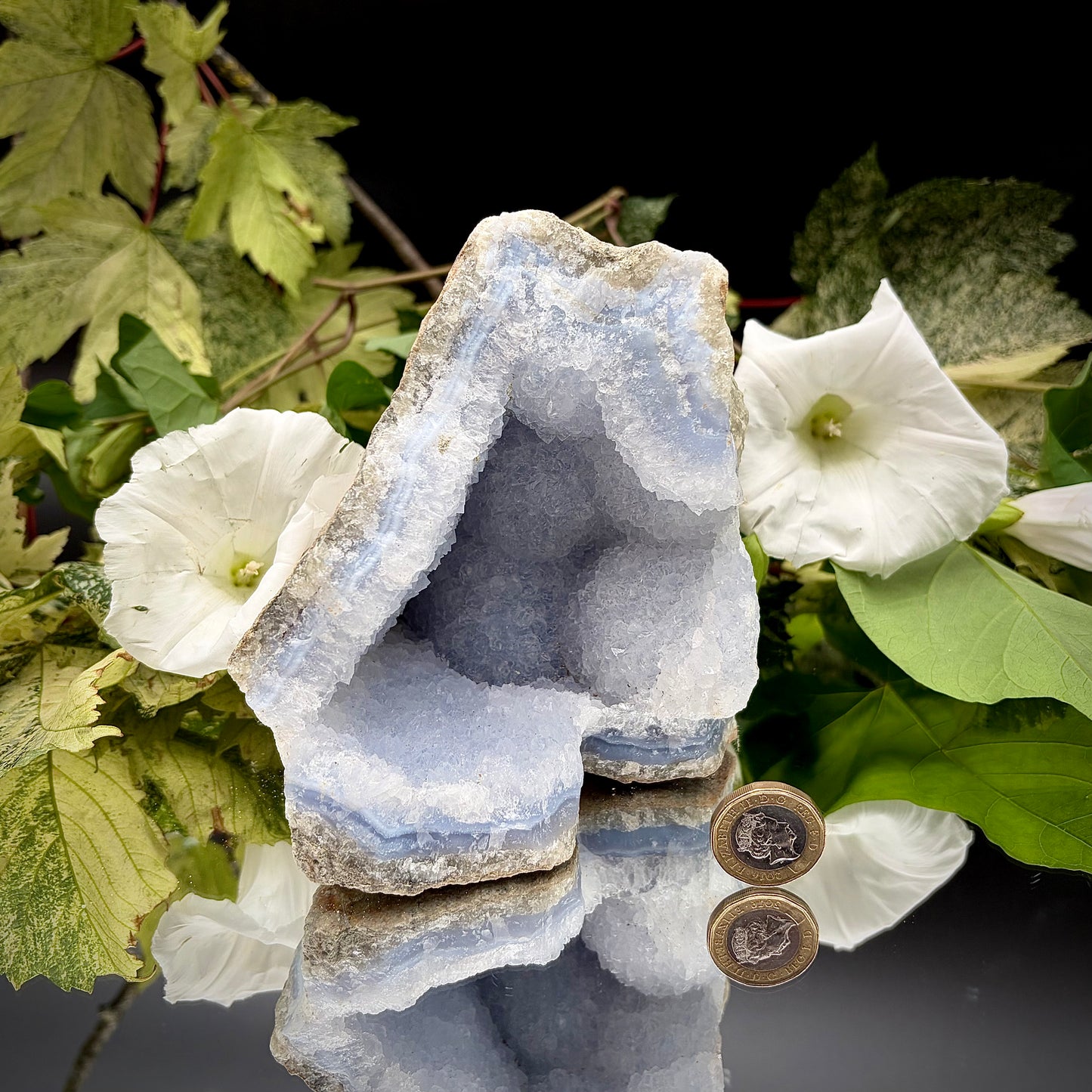 A raw Blue Lace Agate geode crystal standing next to a a British one pound (£1) coin to demonstrate the precise size and scale of the specimen.