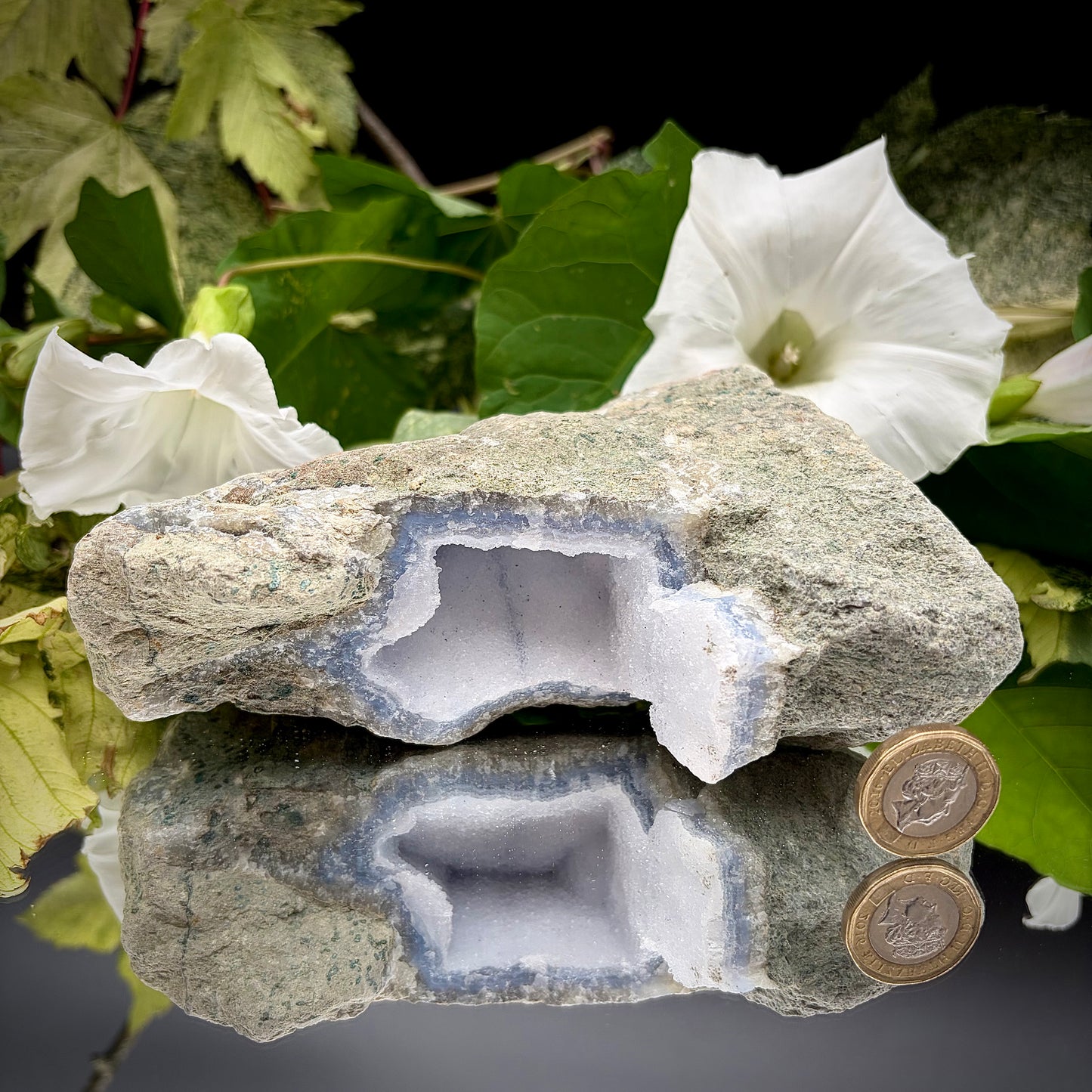 A raw Blue Lace Agate geode crystal standing next to a a British one pound (£1) coin to demonstrate the precise size and scale of the specimen.