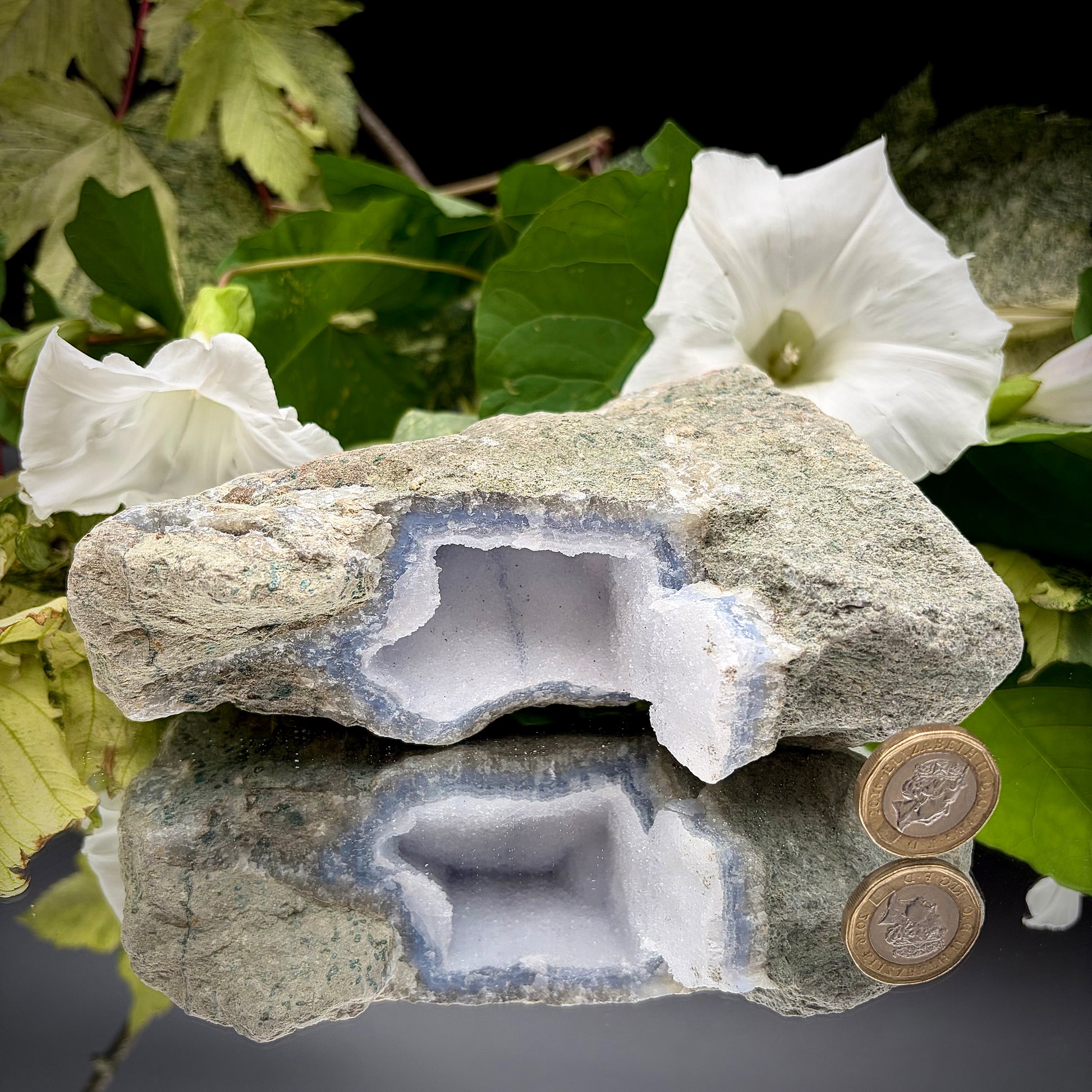 A raw Blue Lace Agate geode crystal standing next to a a British one pound (£1) coin to demonstrate the precise size and scale of the specimen.