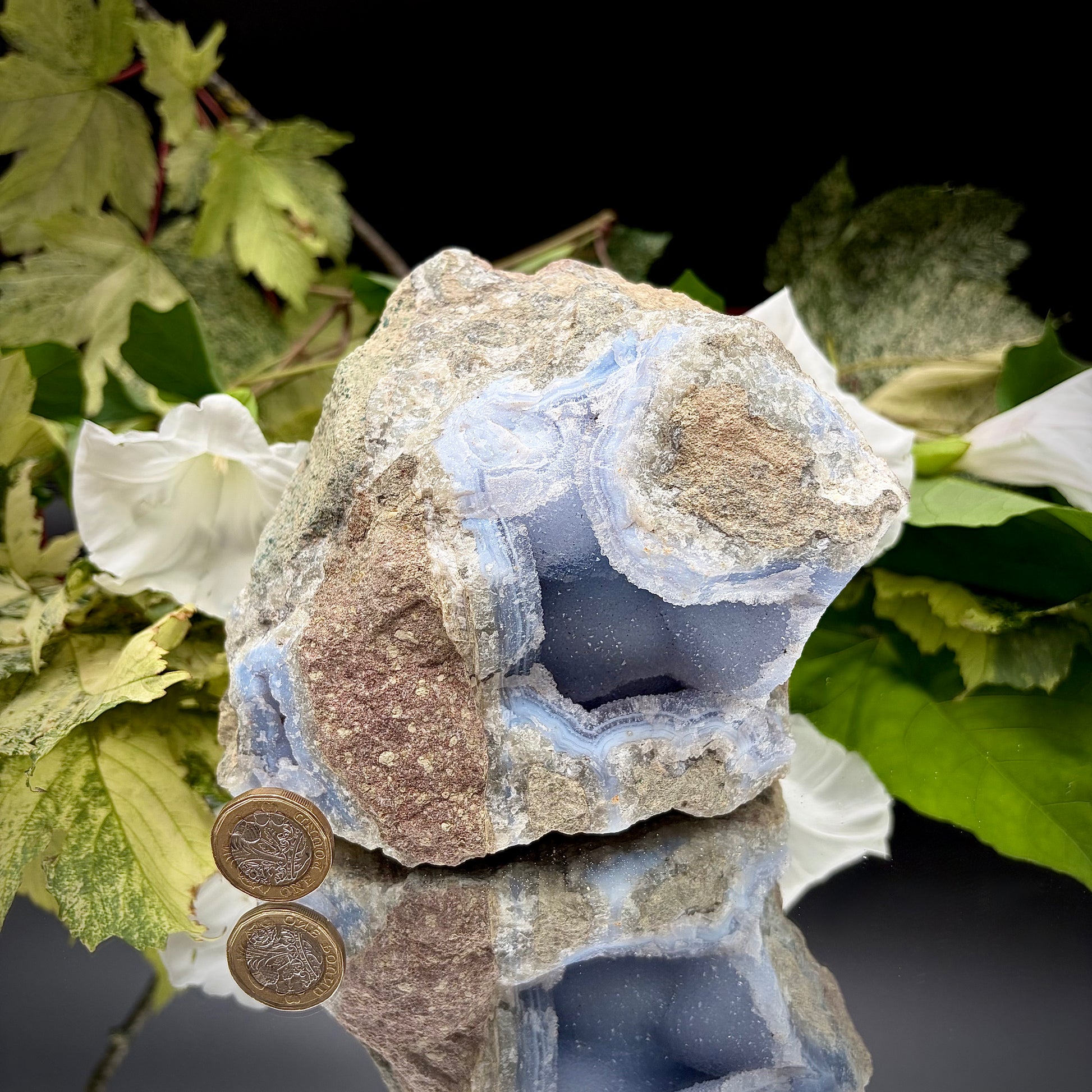 A raw Blue Lace Agate geode crystal standing next to a a British one pound (£1) coin to demonstrate the precise size and scale of the specimen.