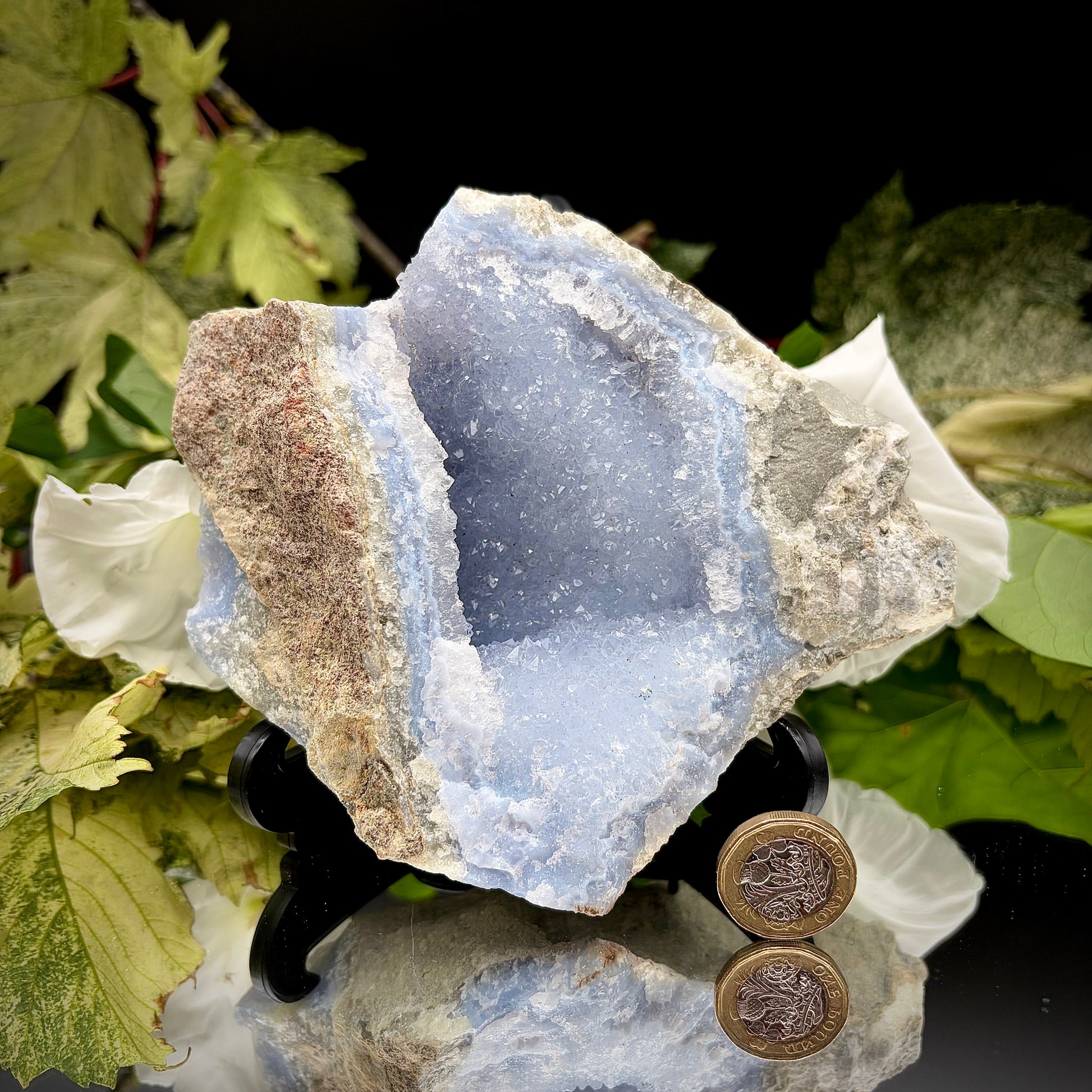 A raw Blue Lace Agate geode crystal standing next to a a British one pound (£1) coin to demonstrate the precise size and scale of the specimen.