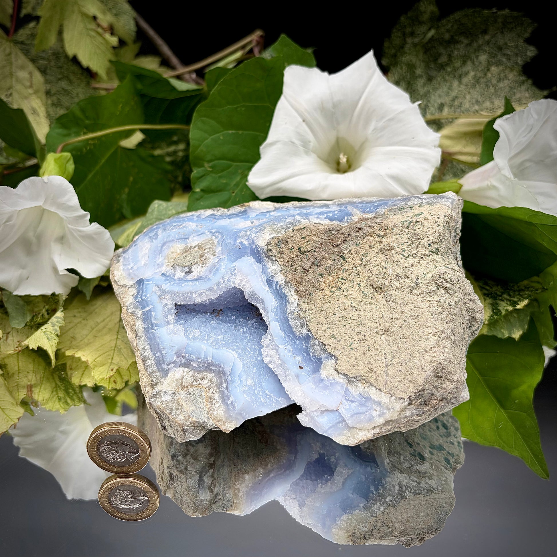 A raw Blue Lace Agate geode crystal standing next to a a British one pound (£1) coin to demonstrate the precise size and scale of the specimen.
