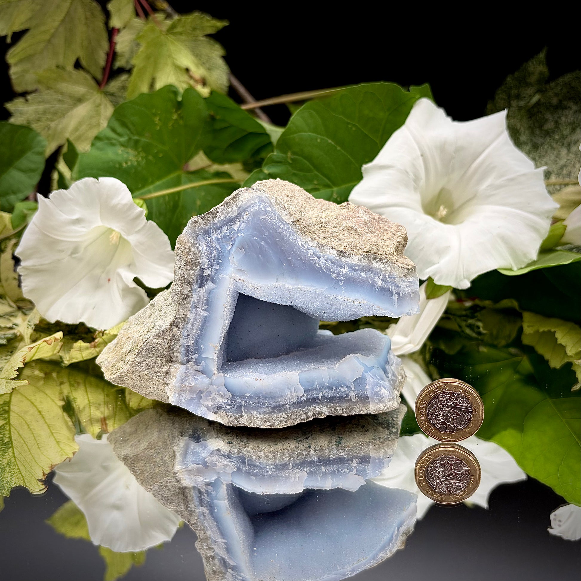 A raw Blue Lace Agate geode crystal standing next to a a British one pound (£1) coin to demonstrate the precise size and scale of the specimen.