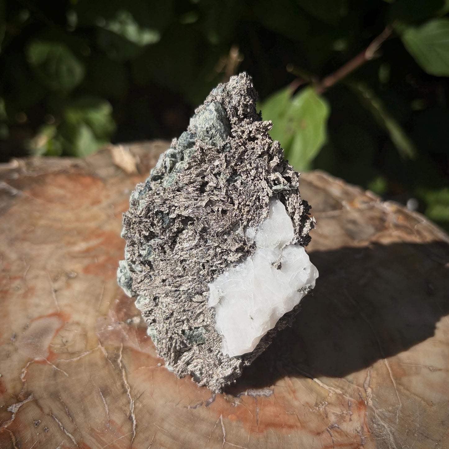 Native Silver mineral specimen from Bou Azzer Morocco