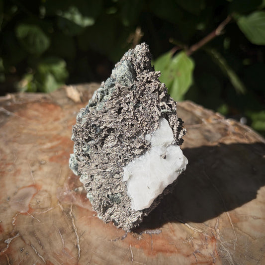 Native Silver mineral specimen from Bou Azzer Morocco