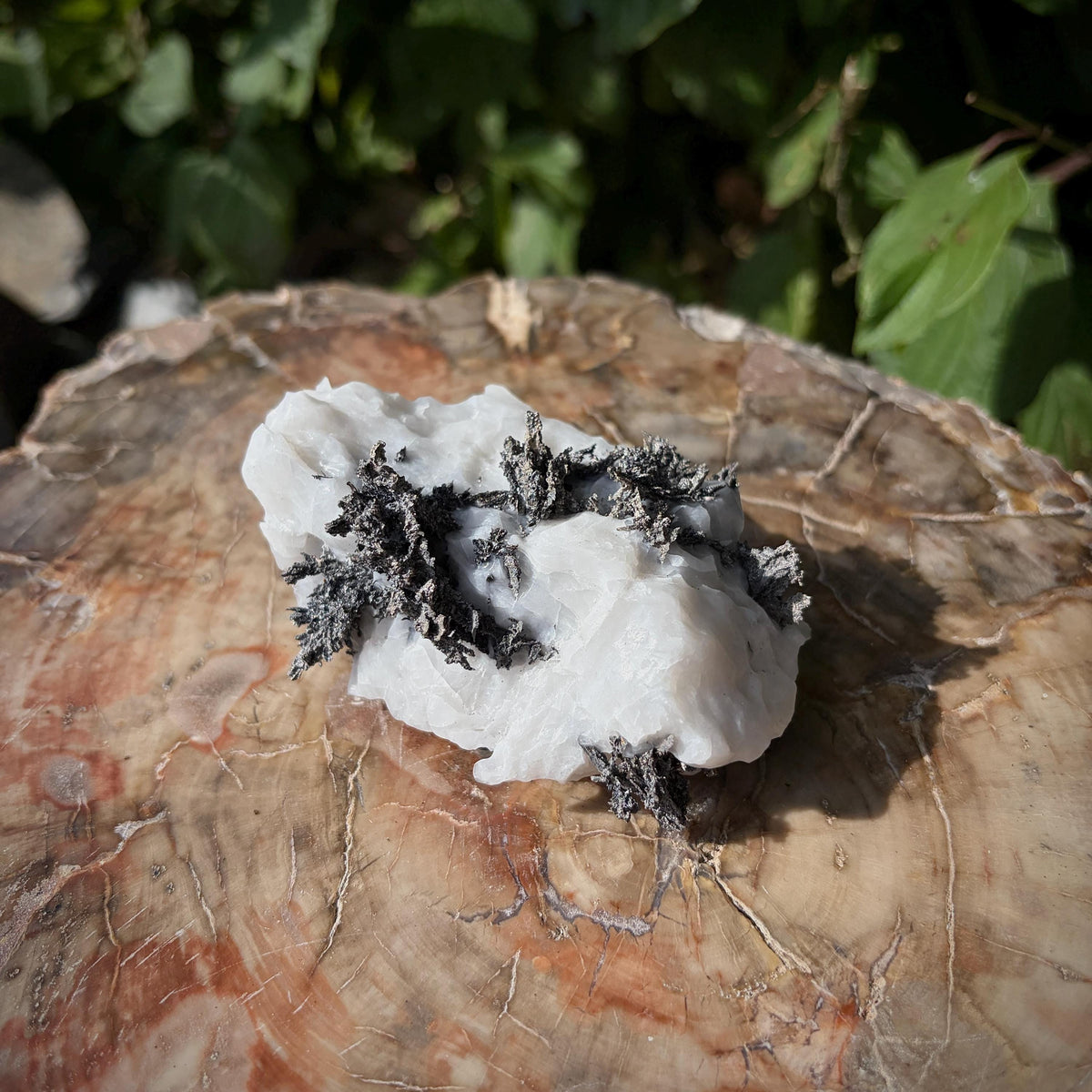 Bou Azzer Native Silver crystalline mineral specimen