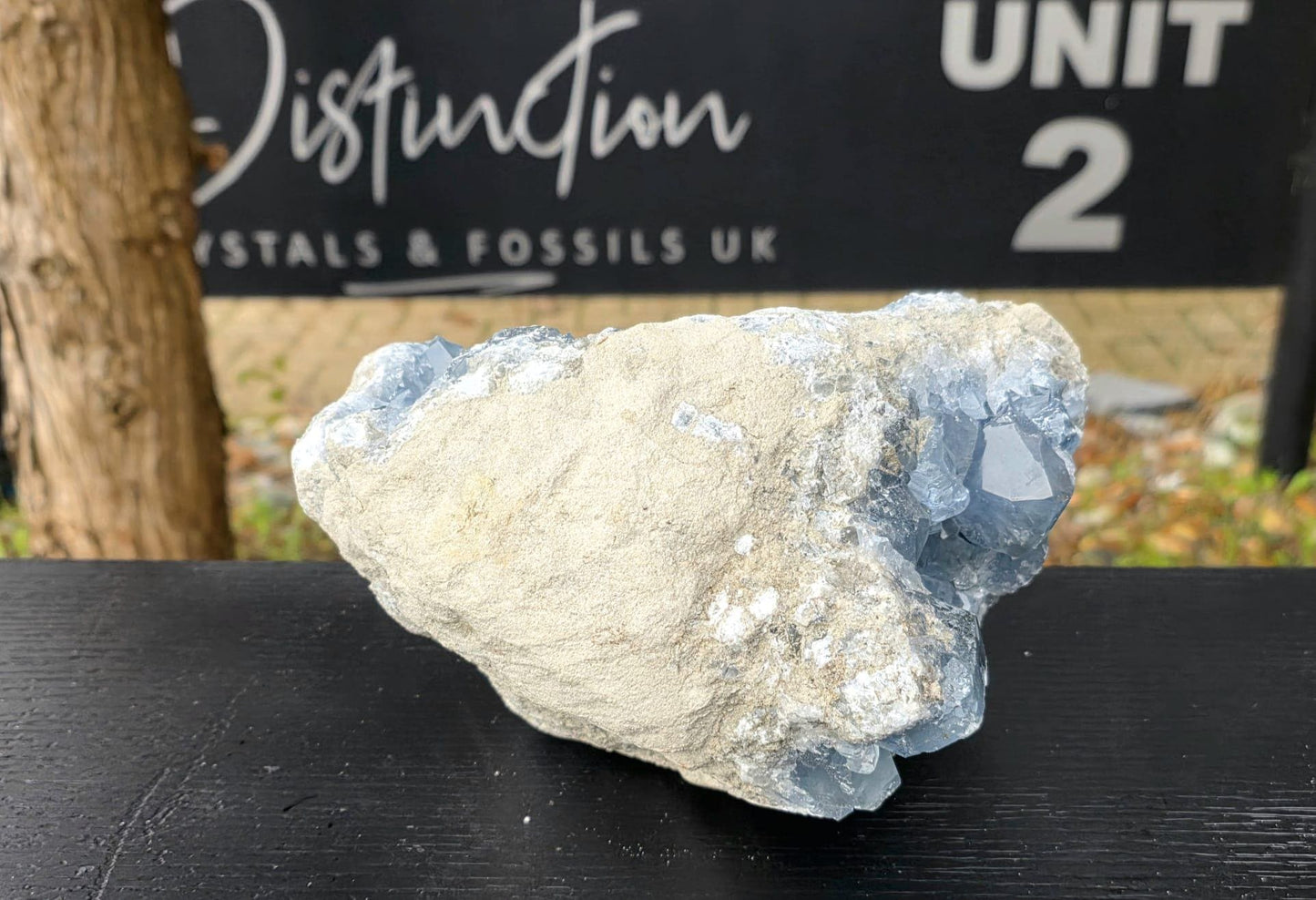 Large celestite crystal decorative mineral piece