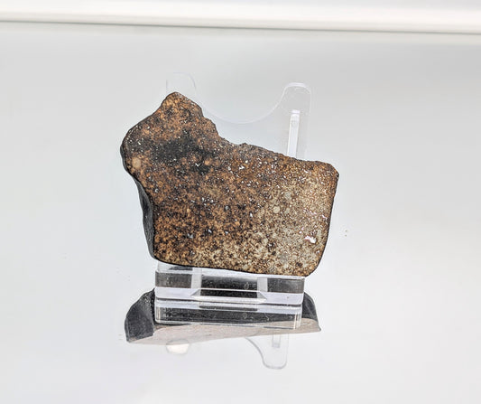  Ancient Chondrite Meteorite, one of Earth’s oldest rocks