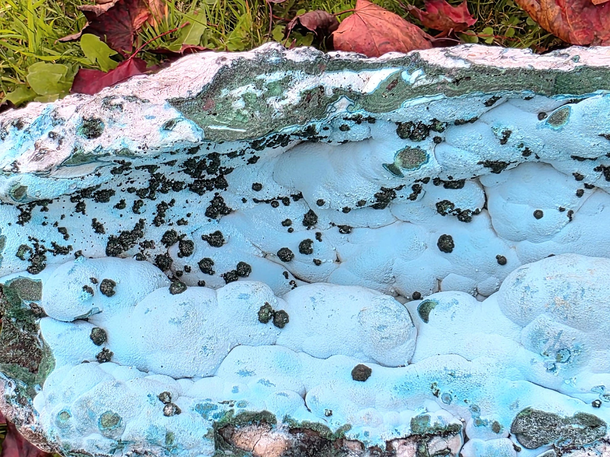 Close-up showing copper detail and vibrant Malachite within Chrysocolla matrix.