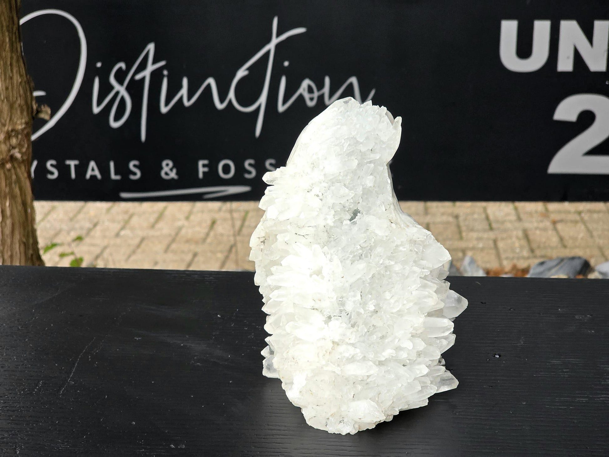 Clear quartz eagle used as spiritual symbol and energy crystal.