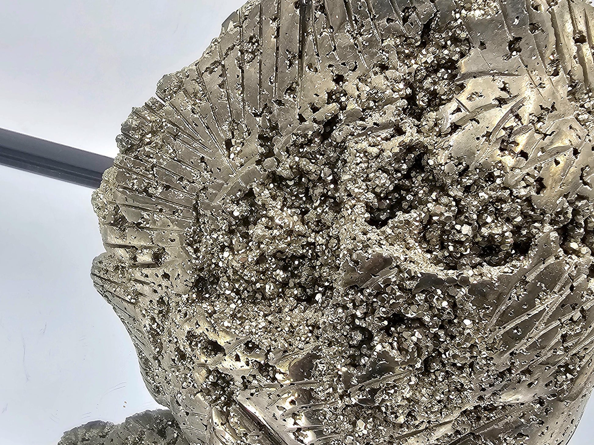 pyrite crystal animals large fish