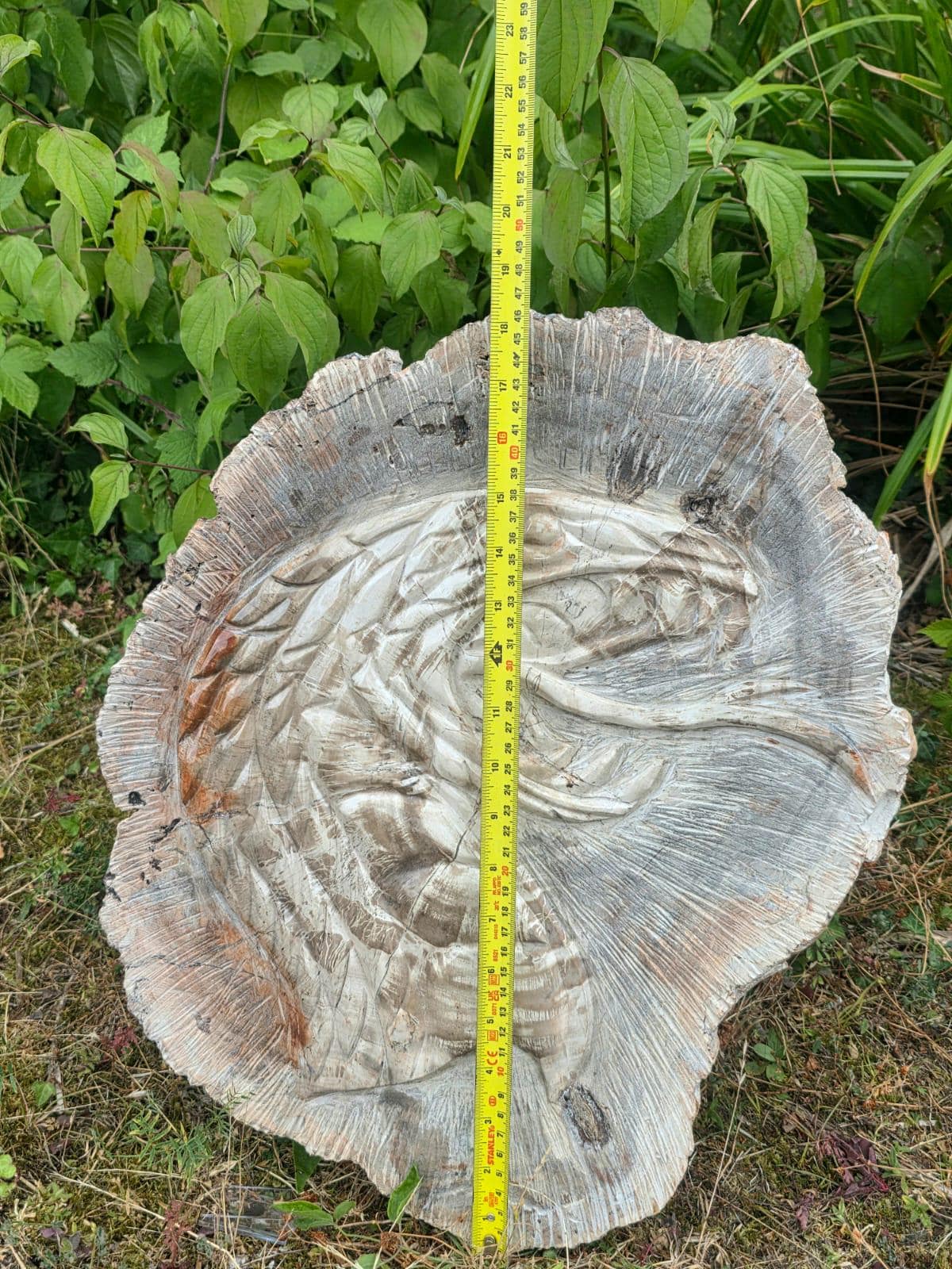 Side view of petrified wood cobra snake carving