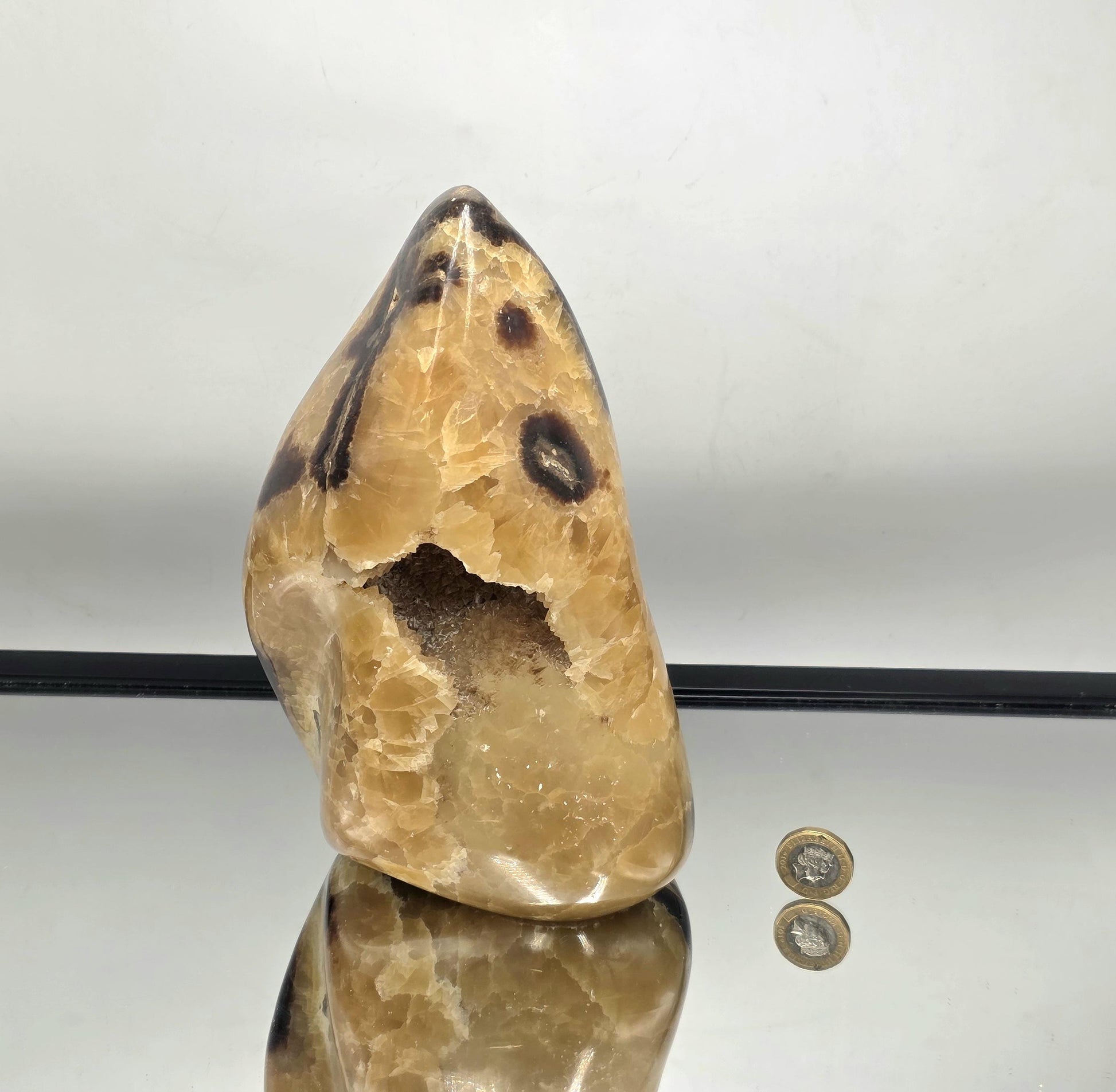 Collector’s extra large Septarian crystal freeform.