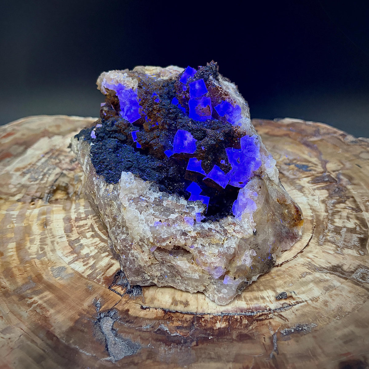 Collector Fluorite specimen for luxury interior styling