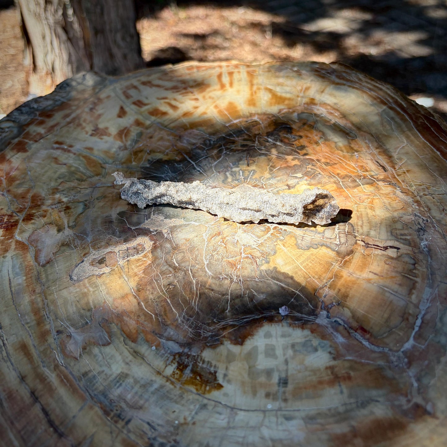 Alternative view of a natural Fulgurite suitable for a geological collection.