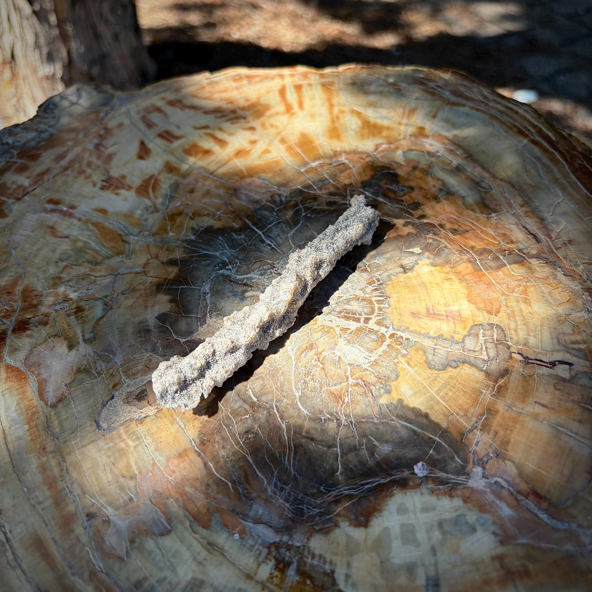Side view of an Algerian Fulgurite showing its unique lightning-formed shape.