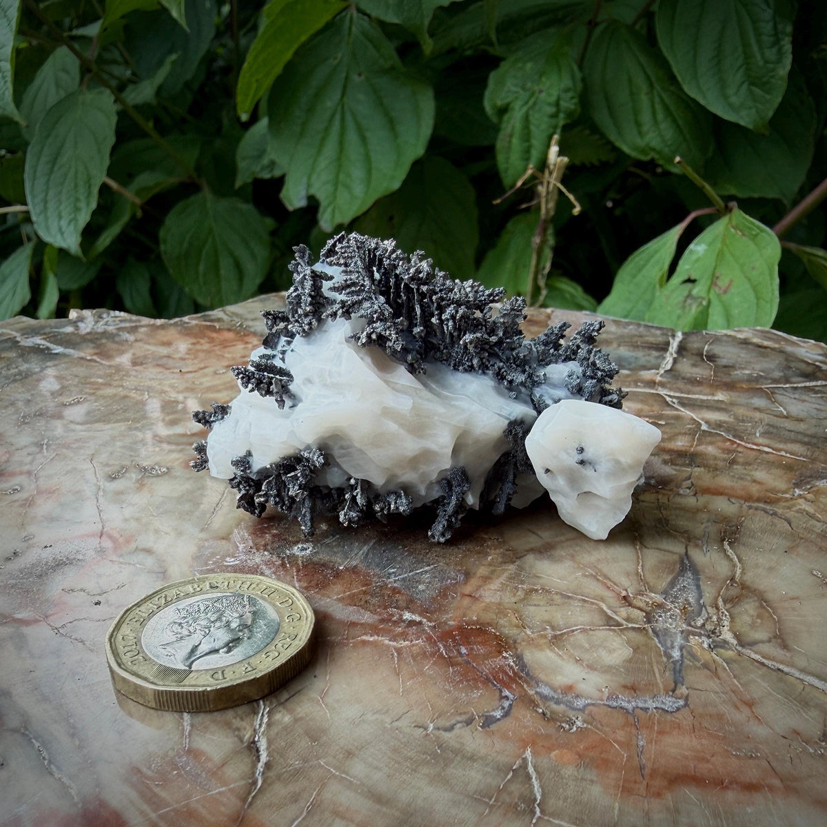 Collector native silver mineral specimen
