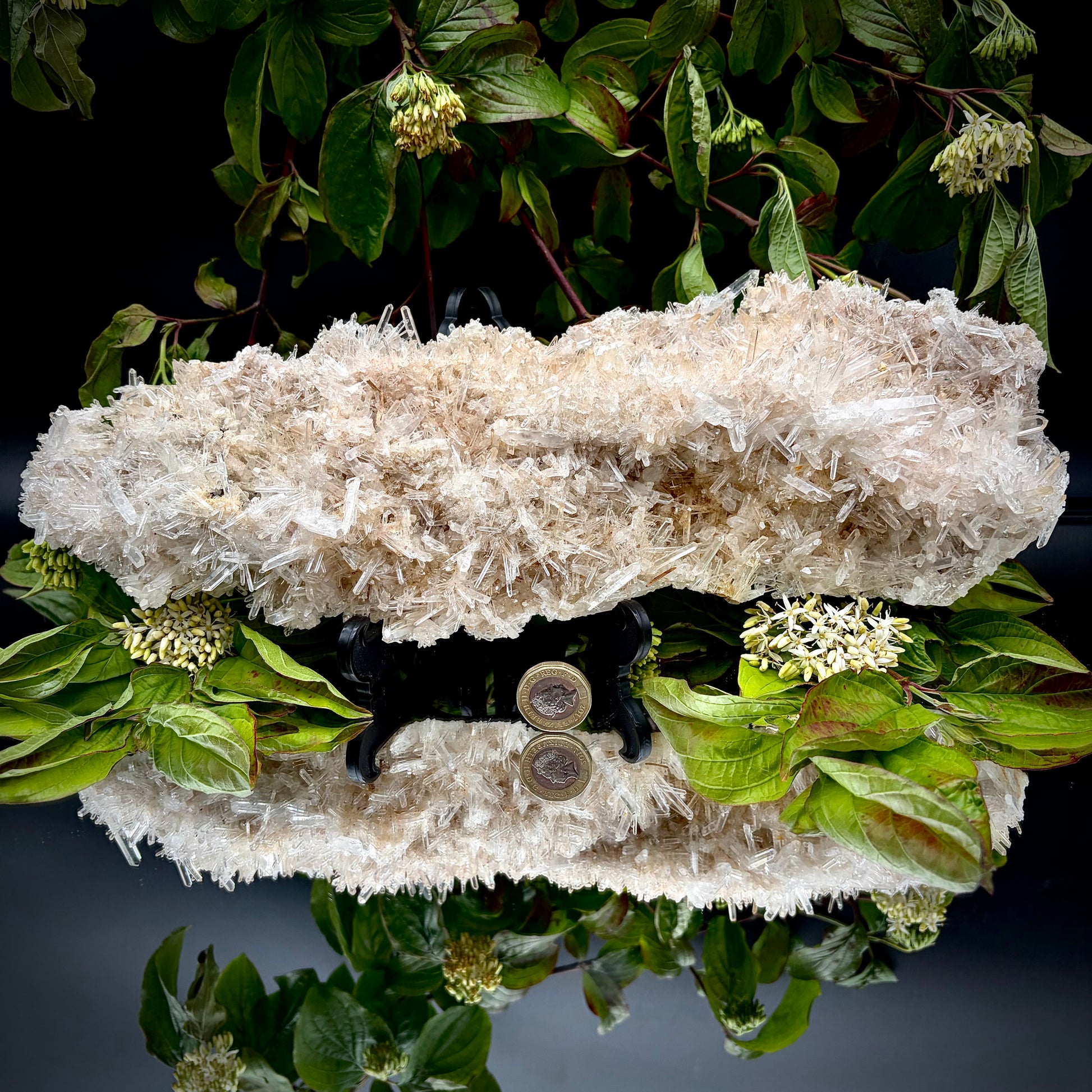 High-grade Colombian Quartz specimen showcasing fine needle-like crystal clusters.