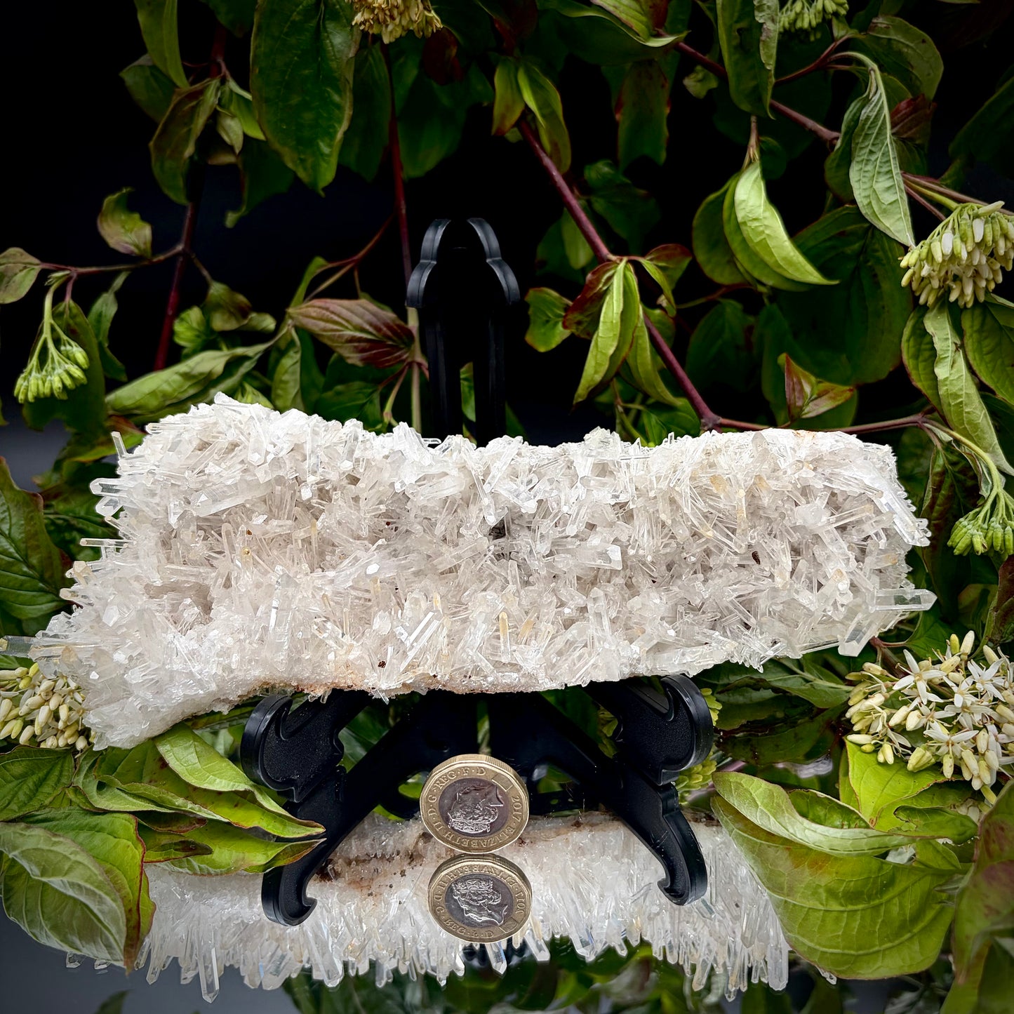 High-grade Colombian Quartz specimen showcasing fine needle-like crystal clusters.