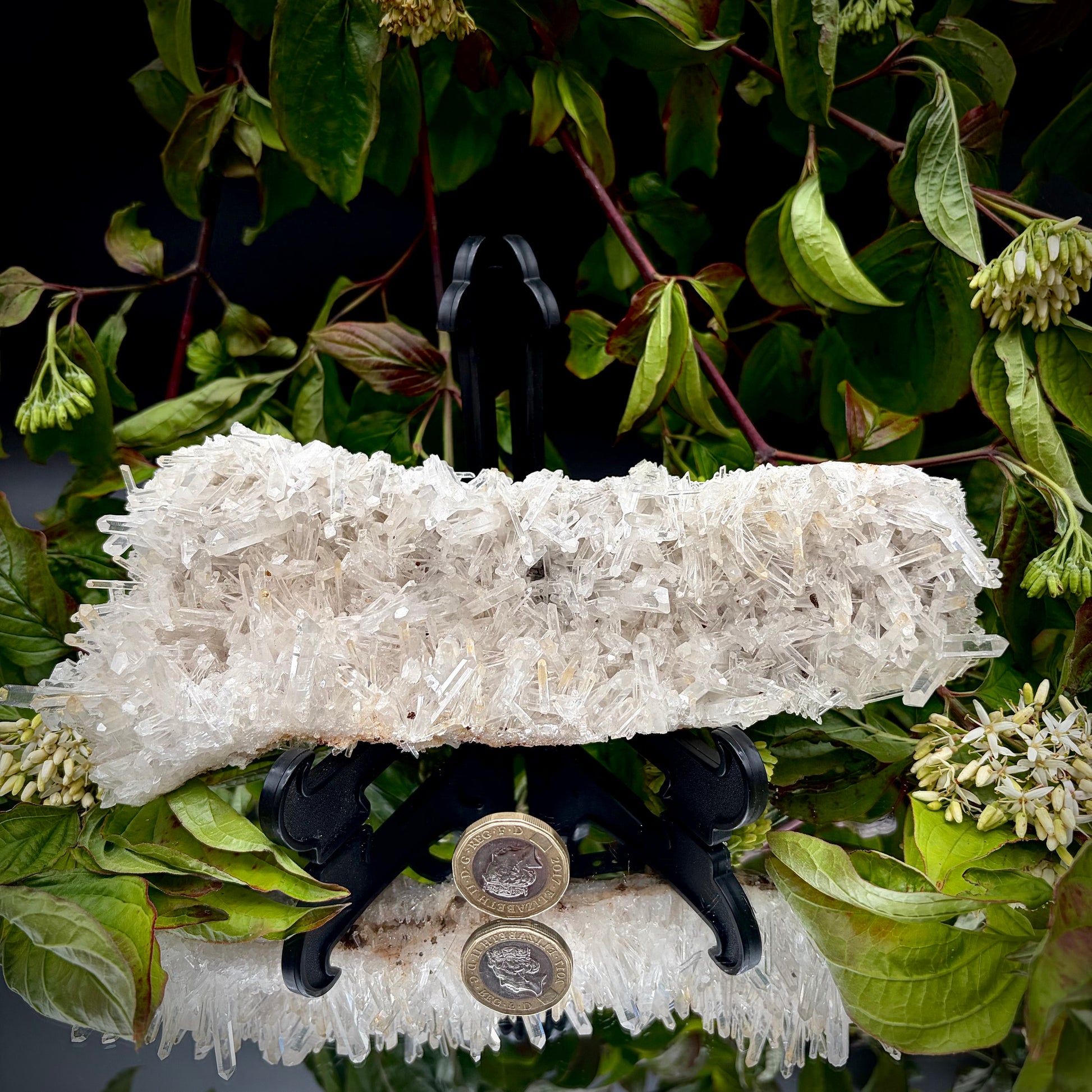 High-grade Colombian Quartz specimen showcasing fine needle-like crystal clusters.