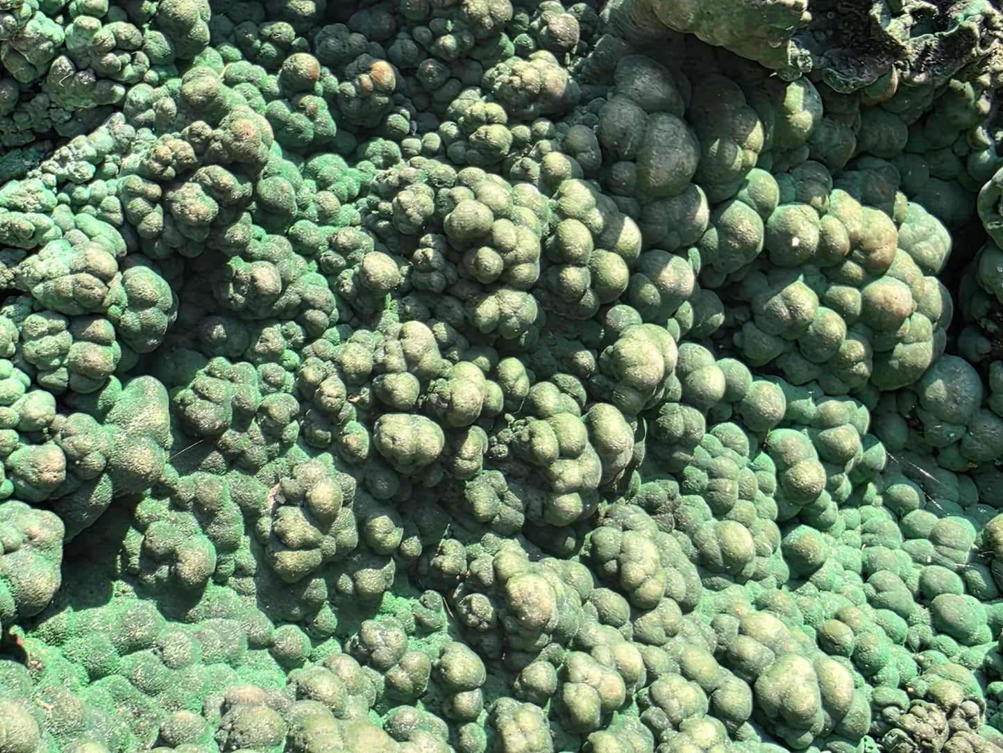 Malachite crystal sourced from Congo on black display stand