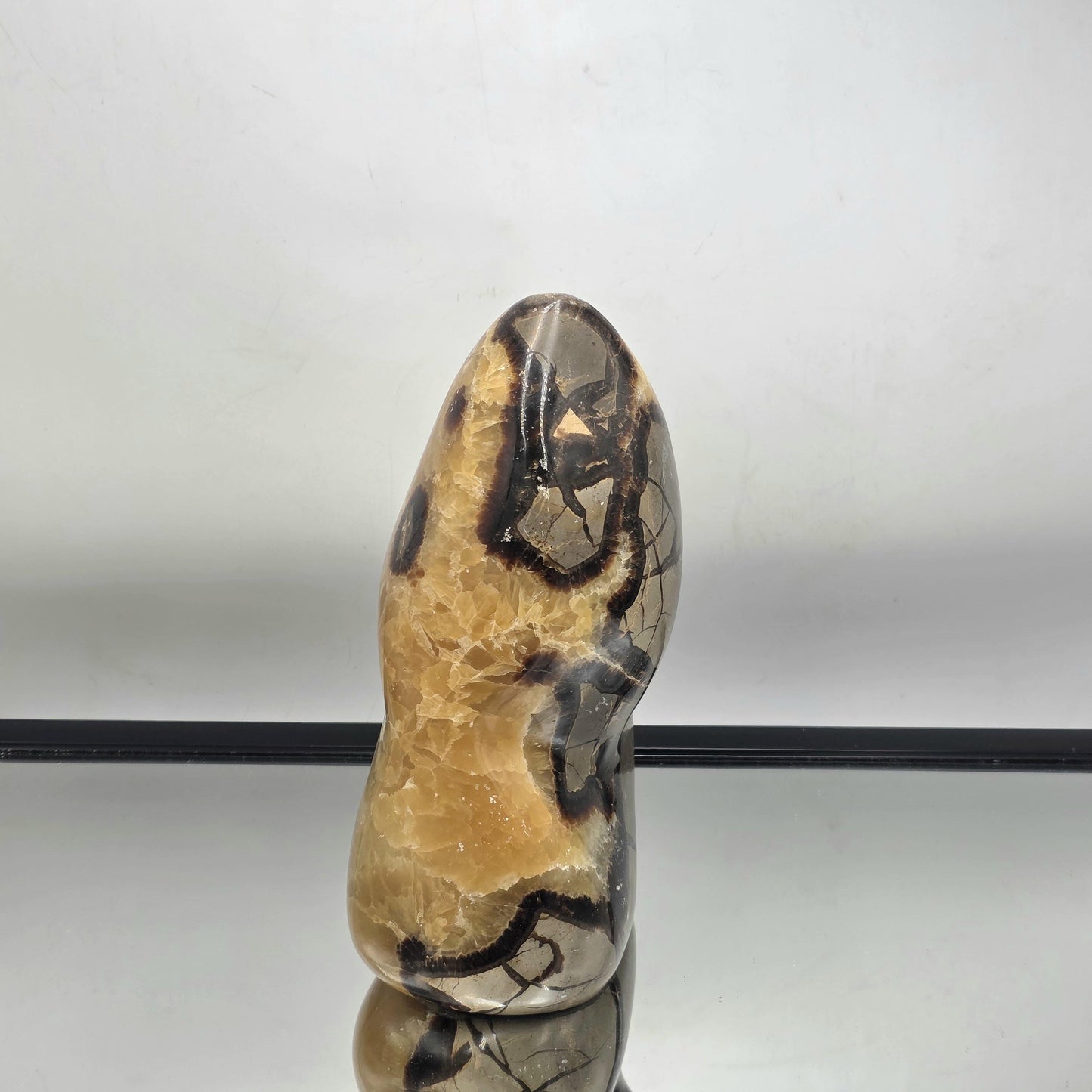decorative extra large Septarian crystal freeform.