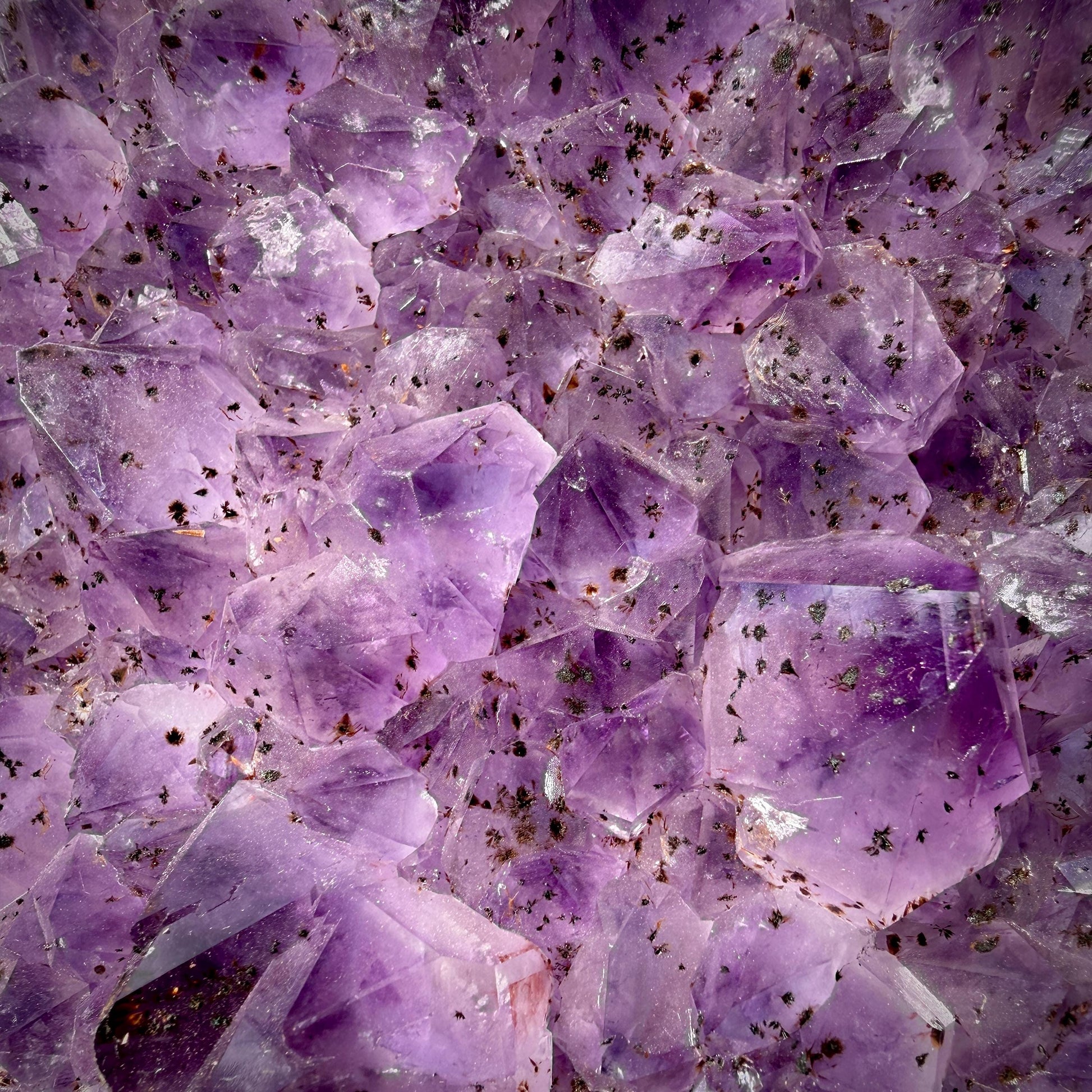 Deep purple natural Amethyst cluster with polished outer edge