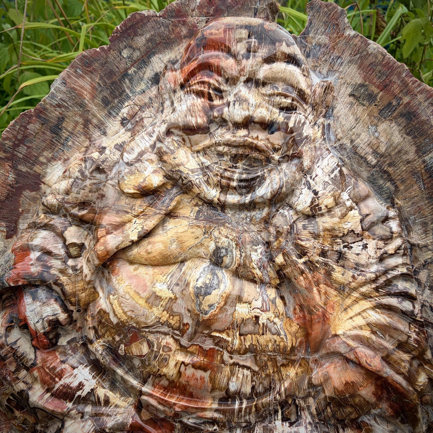 XXL fossil wood Laughing Buddha available from Distinction Crystals