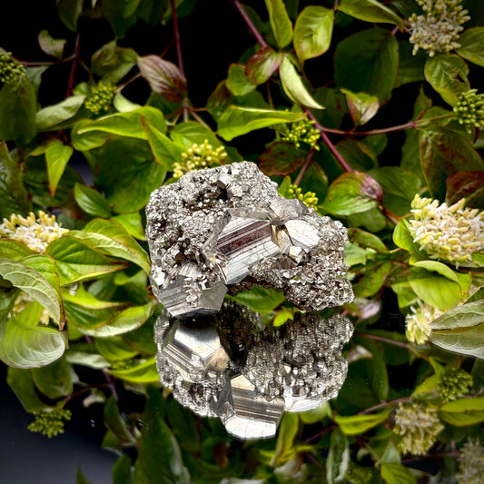 Front view of a large Pyrite cluster highlighting its bright metallic lustre and dimensions.