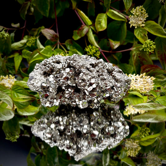 Front view of a large Pyrite cluster highlighting its bright metallic lustre and dimensions.