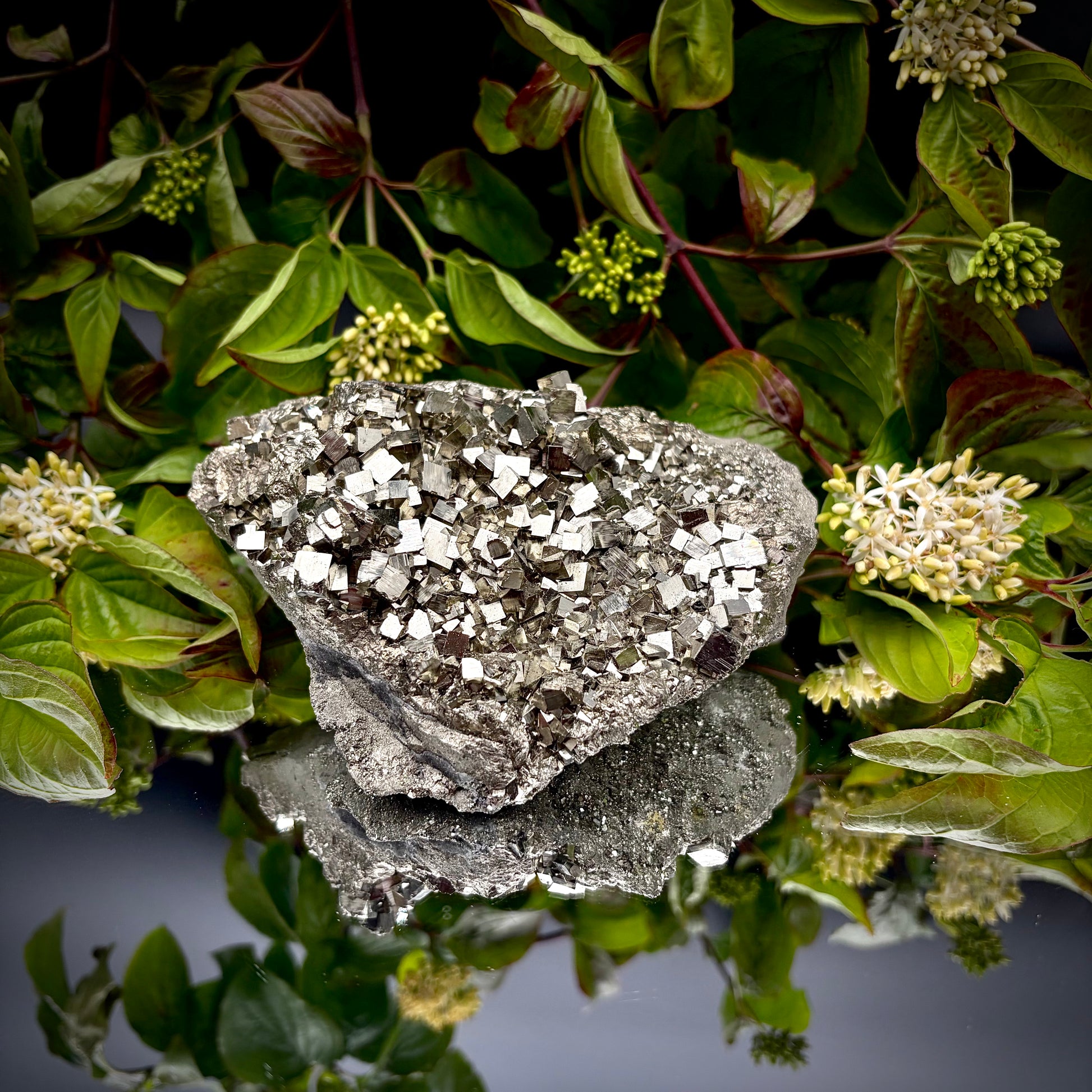Front view of a large Pyrite cluster highlighting its bright metallic lustre and dimensions.