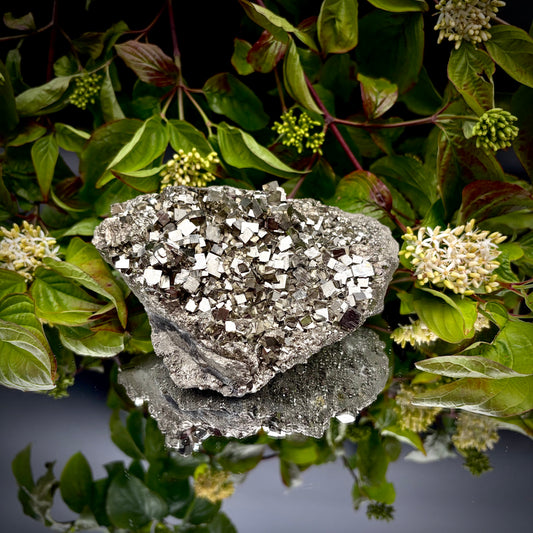 Front view of a large Pyrite cluster highlighting its bright metallic lustre and dimensions.