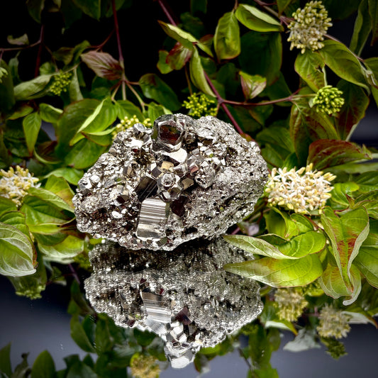 Front view of a large Pyrite cluster highlighting its bright metallic lustre and dimensions.