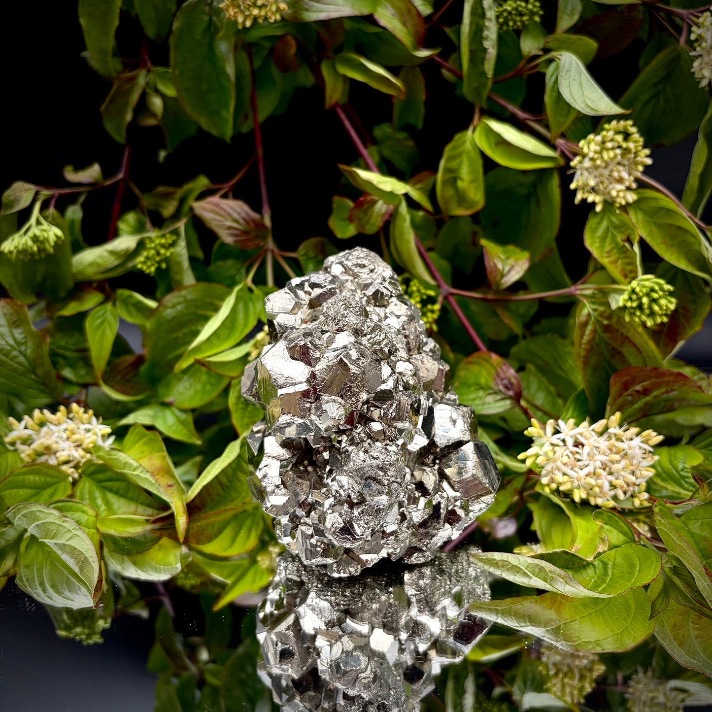 Front view of a large Pyrite cluster highlighting its bright metallic lustre and dimensions.