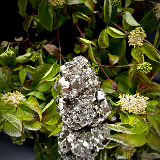 Front view of a large Pyrite cluster highlighting its bright metallic lustre and dimensions.