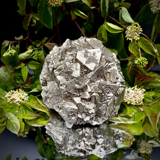 Front view of a large Pyrite cluster highlighting its bright metallic lustre and dimensions.