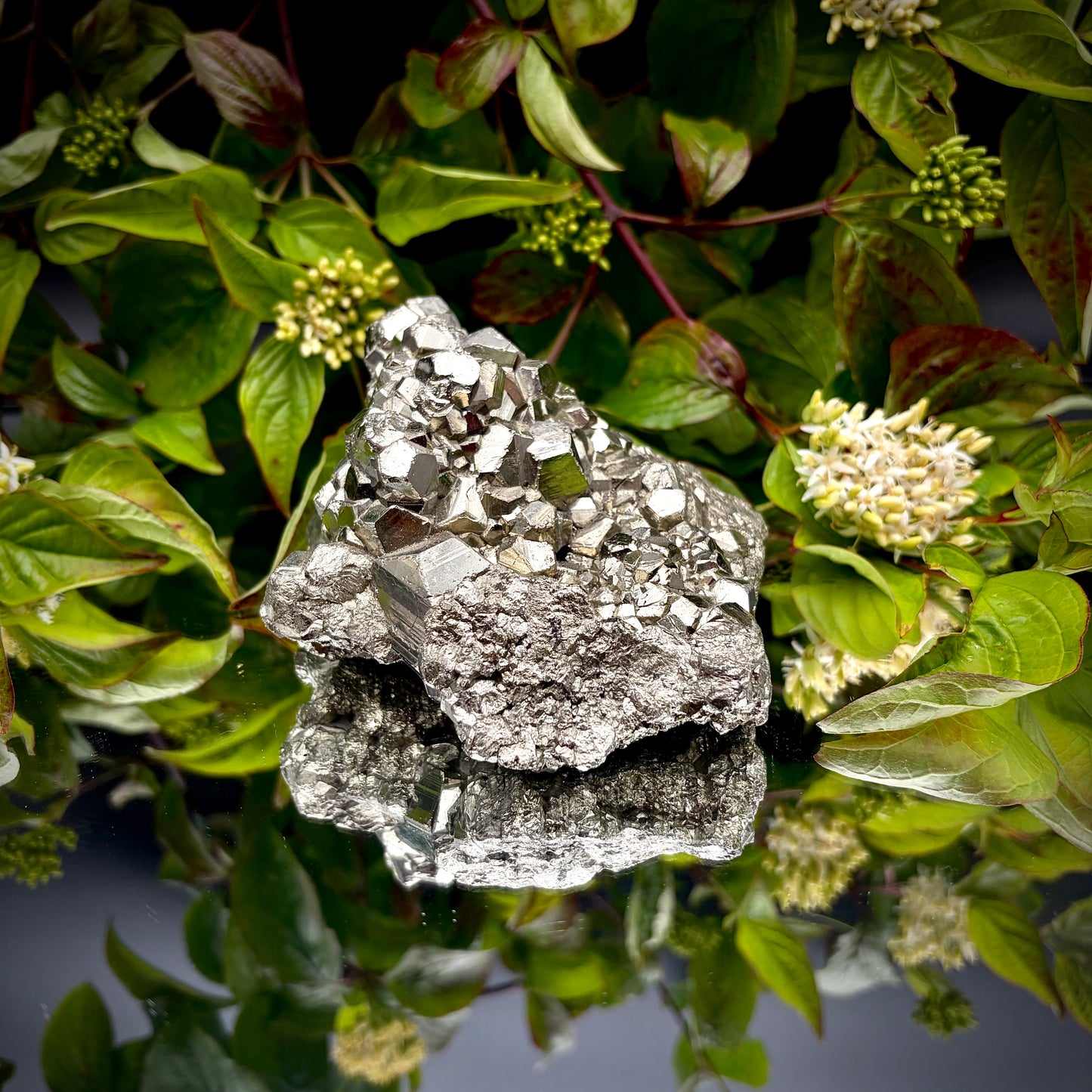 Front view of a large Pyrite cluster highlighting its bright metallic lustre and dimensions.