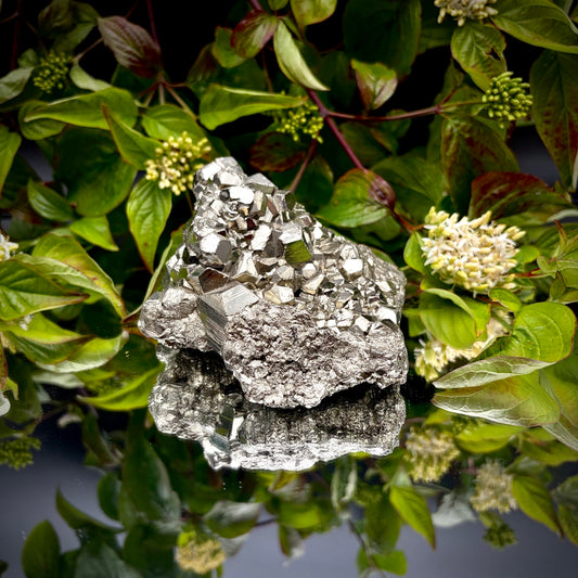 Front view of a large Pyrite cluster highlighting its bright metallic lustre and dimensions.
